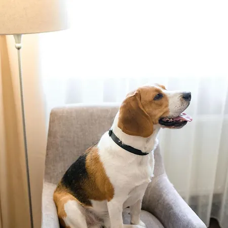 Hotel Nota Bene & Restaurant