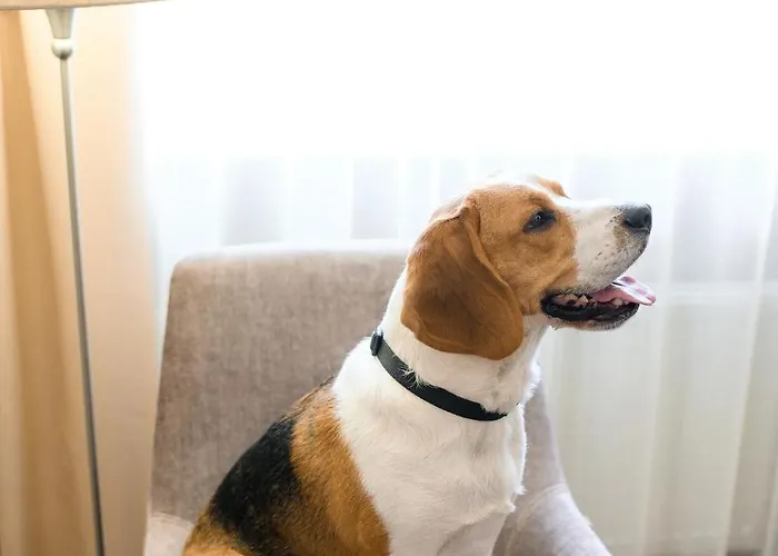 Szálloda Nota Bene & Restaurant